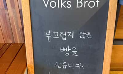 폭스브롯